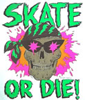 skate or die 1970's vintage t-shirt iron-on