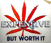 Marijuana Expensive But Worth It