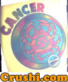cancer t-Shirt Iron-On Horoscope Vintage Unused Deadstock Glitter 1970's