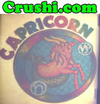 capricorn t-Shirt Iron-On Horoscope Vintage Unused Deadstock Glitter 1970's