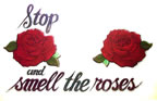 stop and smell the roses boob humor Unused Original Vintage T-Shirt Iron-On Heat Transfer