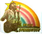 bruce springsteen 1970's vintage t-shirt iron-on