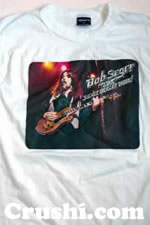 bob seger and the silver bullet band vintage t-shirt iron-on vintage t-shirts iron-ons