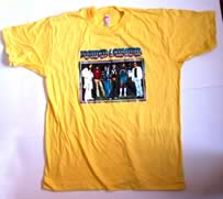 lynyrd skynyrd original 1970's vintage t-shirt